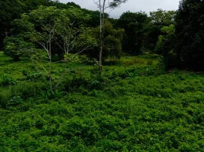 Strategic 5000sqm Commercial Property in Uvita: Perfect for any Business Vision, photo 15