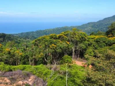 Ocean View Lot in the Exclusive Uvita Mountains., photo 9