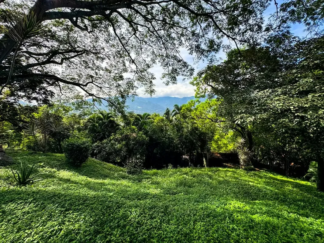 Located in one of the most desirable areas of Pozos de Santa Ana, this spacious 2,200 m² lot with a 50-meter frontage offers an excellent opportunity for residential development. Ideal ...