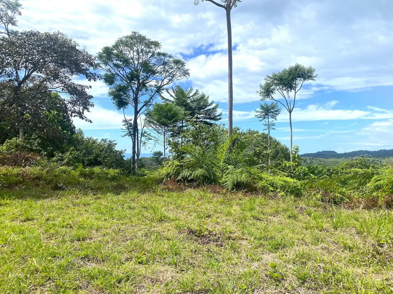 MOUNTAIN PROPERTY WITH OCEAN VIEWS AND SUNSET, IN OJOCHAL – 1.92 ACRES, photo 11