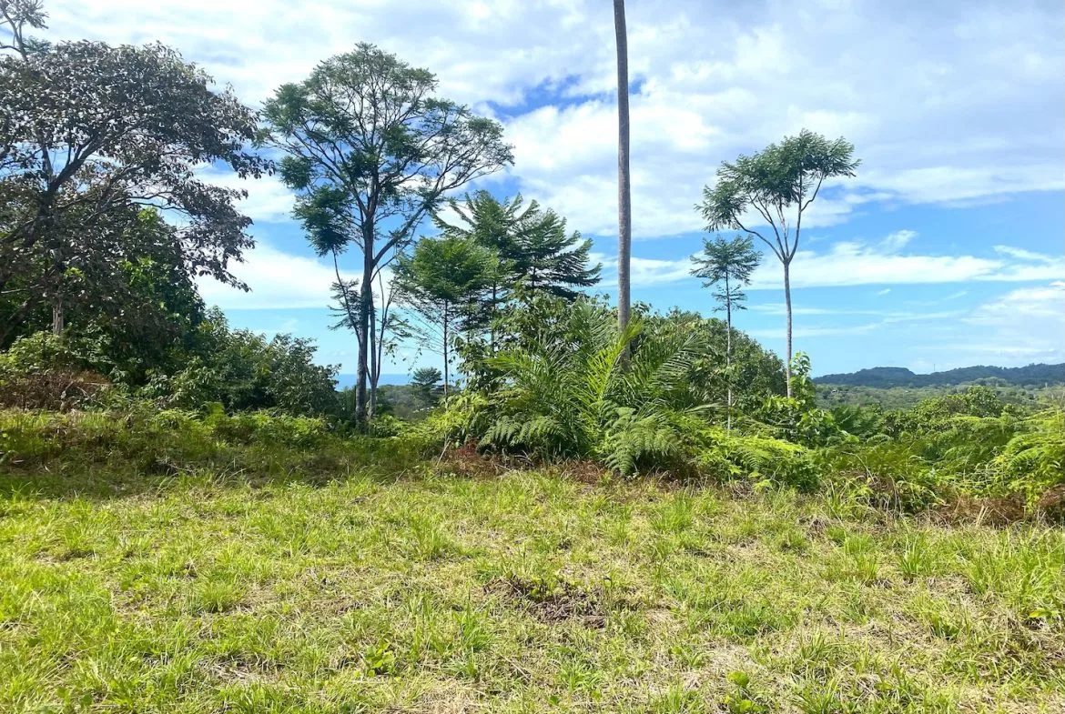 MOUNTAIN PROPERTY WITH OCEAN VIEWS AND SUNSET, IN OJOCHAL – 1.92 ACRES, photo 12