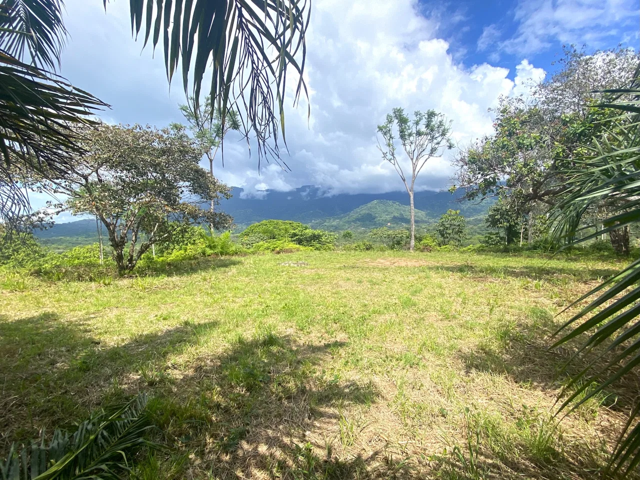 MOUNTAIN PROPERTY WITH OCEAN VIEWS AND SUNSET, IN OJOCHAL – 1.92 ACRES, photo 13