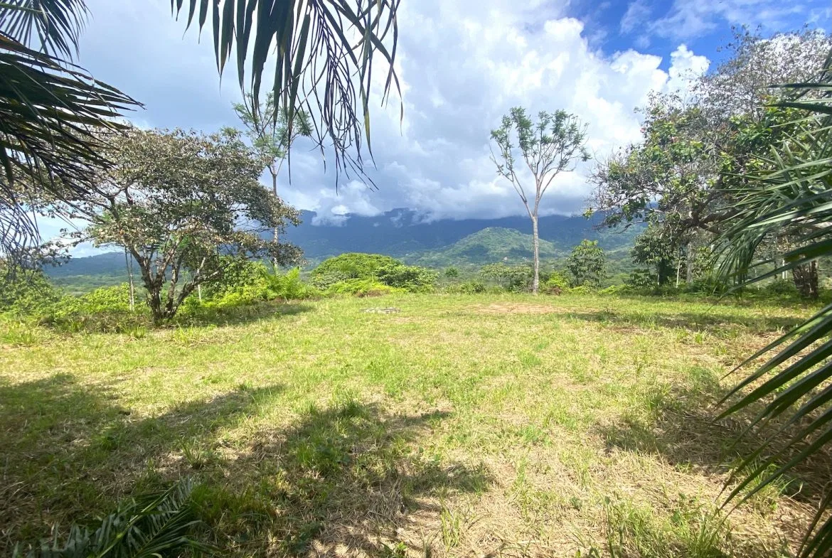 MOUNTAIN PROPERTY WITH OCEAN VIEWS AND SUNSET, IN OJOCHAL – 1.92 ACRES, photo 14