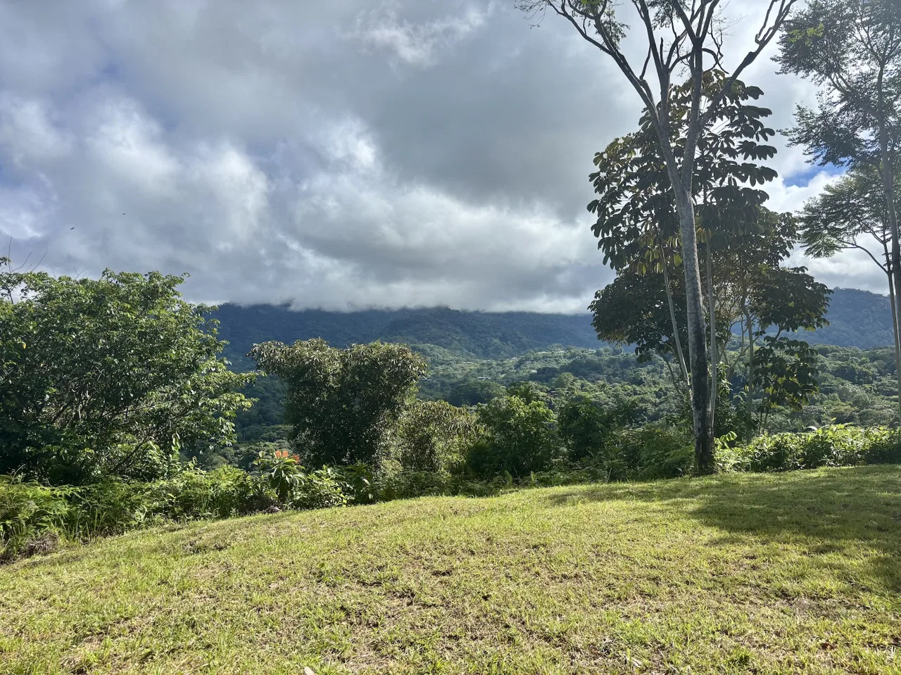 MOUNTAIN PROPERTY WITH OCEAN VIEWS AND SUNSET, IN OJOCHAL – 1.92 ACRES, photo 15