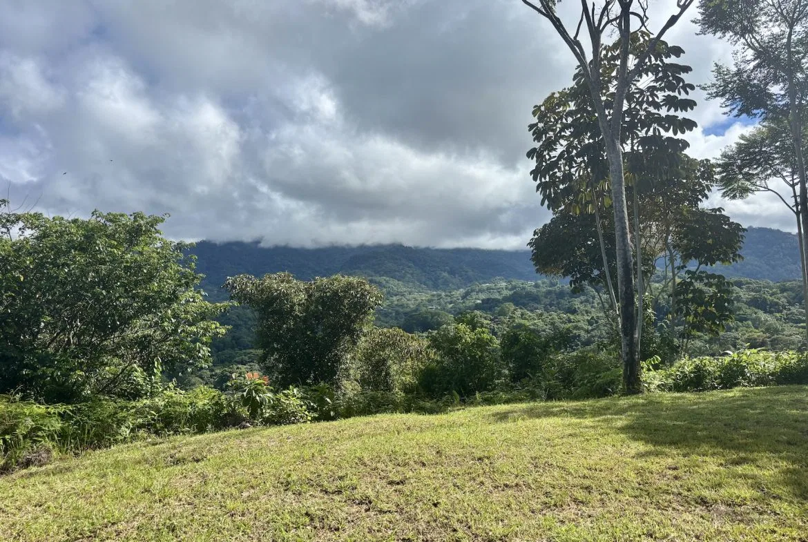 MOUNTAIN PROPERTY WITH OCEAN VIEWS AND SUNSET, IN OJOCHAL – 1.92 ACRES, photo 16