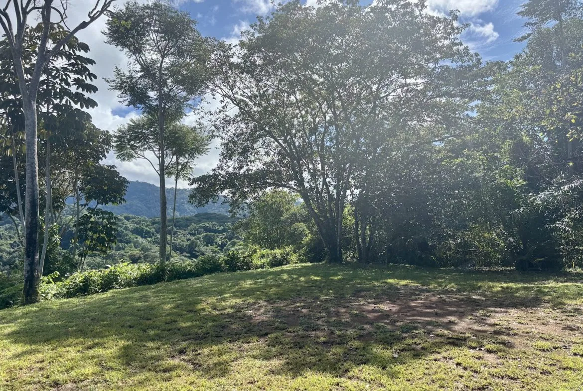 MOUNTAIN PROPERTY WITH OCEAN VIEWS AND SUNSET, IN OJOCHAL – 1.92 ACRES, photo 18
