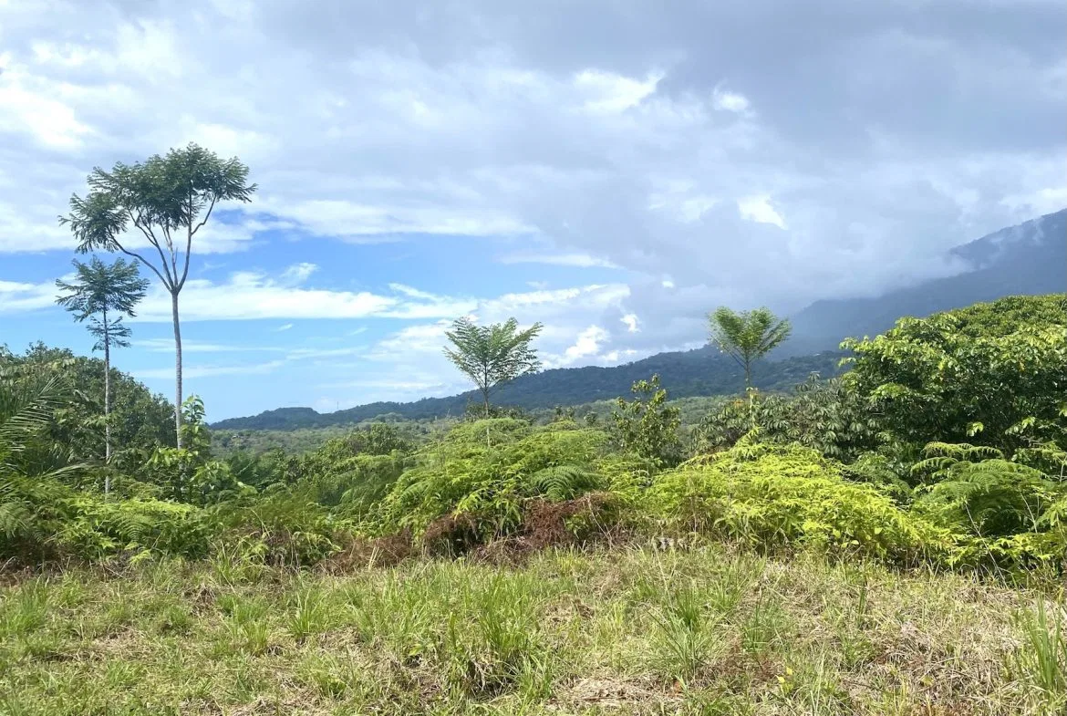 MOUNTAIN PROPERTY WITH OCEAN VIEWS AND SUNSET, IN OJOCHAL – 1.92 ACRES, photo 20