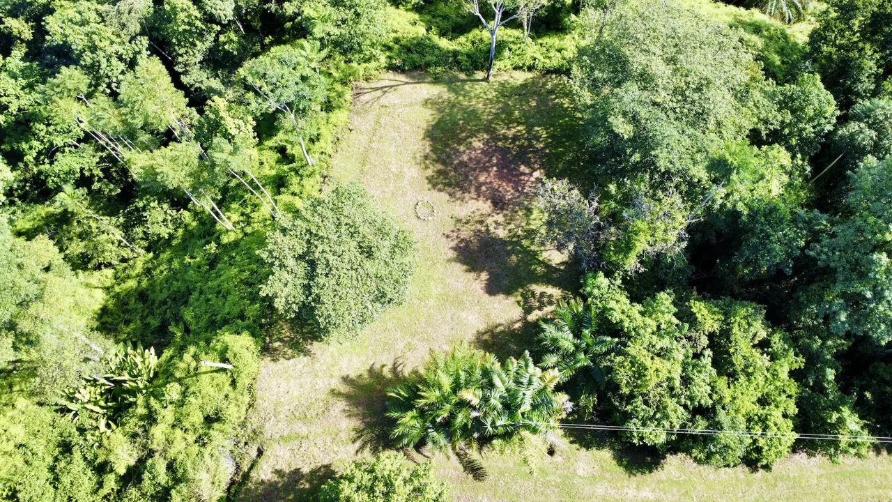 MOUNTAIN PROPERTY WITH OCEAN VIEWS AND SUNSET, IN OJOCHAL – 1.92 ACRES, photo 3
