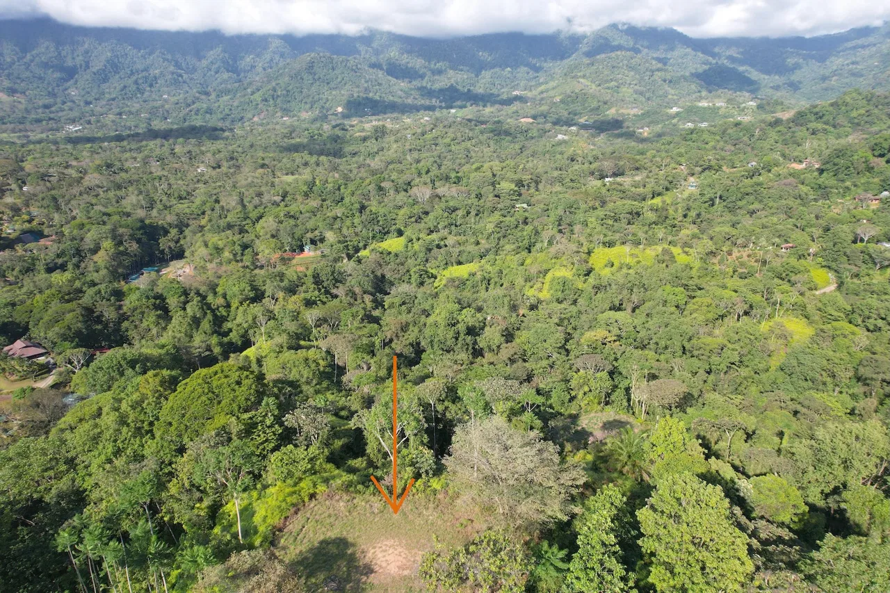 MOUNTAIN PROPERTY WITH OCEAN VIEWS AND SUNSET, IN OJOCHAL – 1.92 ACRES, photo 21