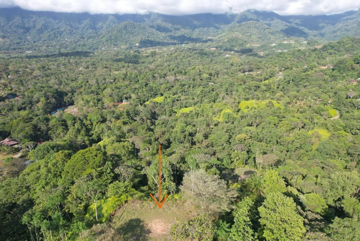 MOUNTAIN PROPERTY WITH OCEAN VIEWS AND SUNSET, IN OJOCHAL – 1.92 ACRES, photo 22