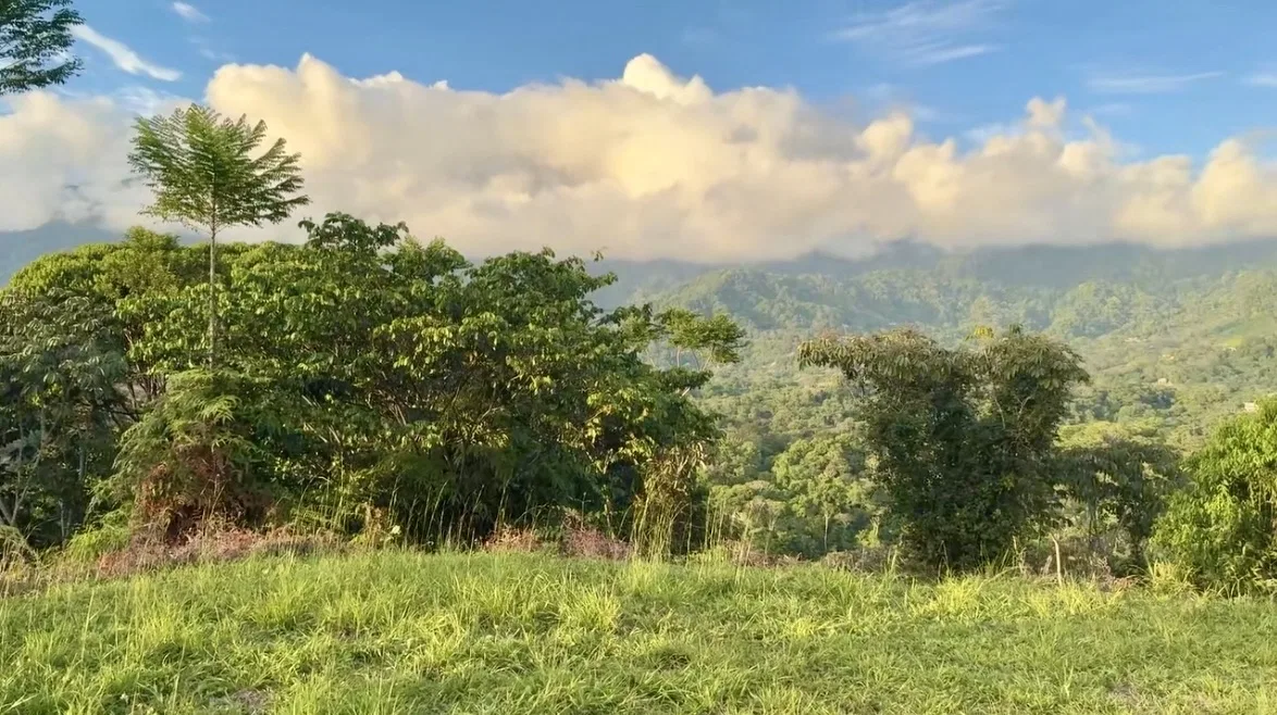 MOUNTAIN PROPERTY WITH OCEAN VIEWS AND SUNSET, IN OJOCHAL – 1.92 ACRES, photo 23