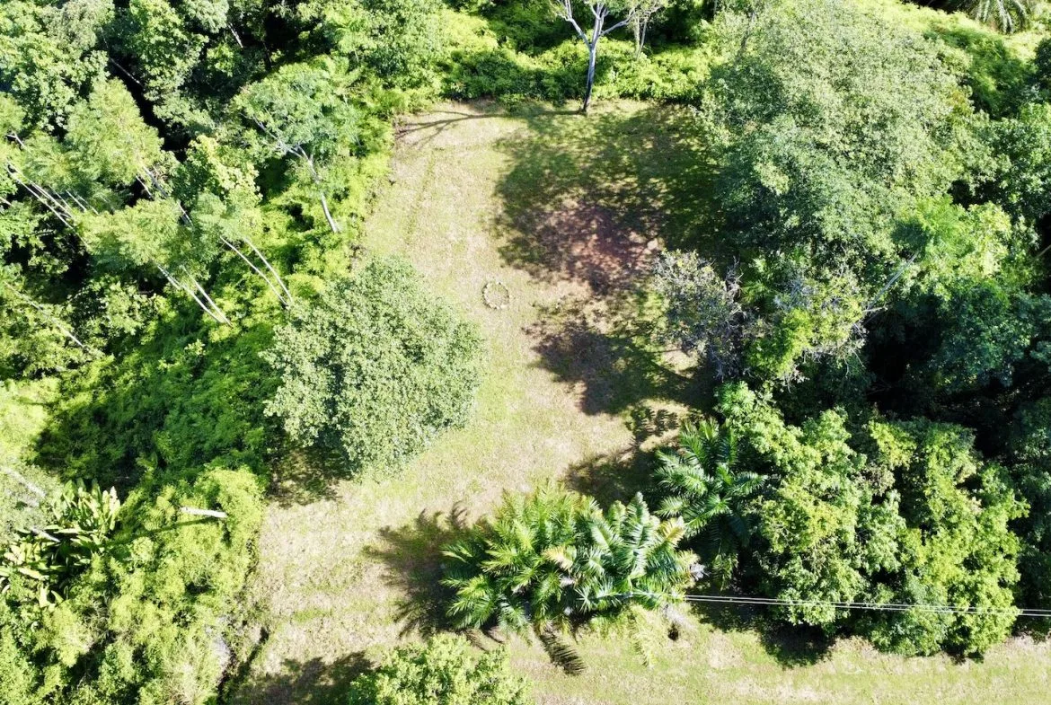 MOUNTAIN PROPERTY WITH OCEAN VIEWS AND SUNSET, IN OJOCHAL – 1.92 ACRES, photo 4