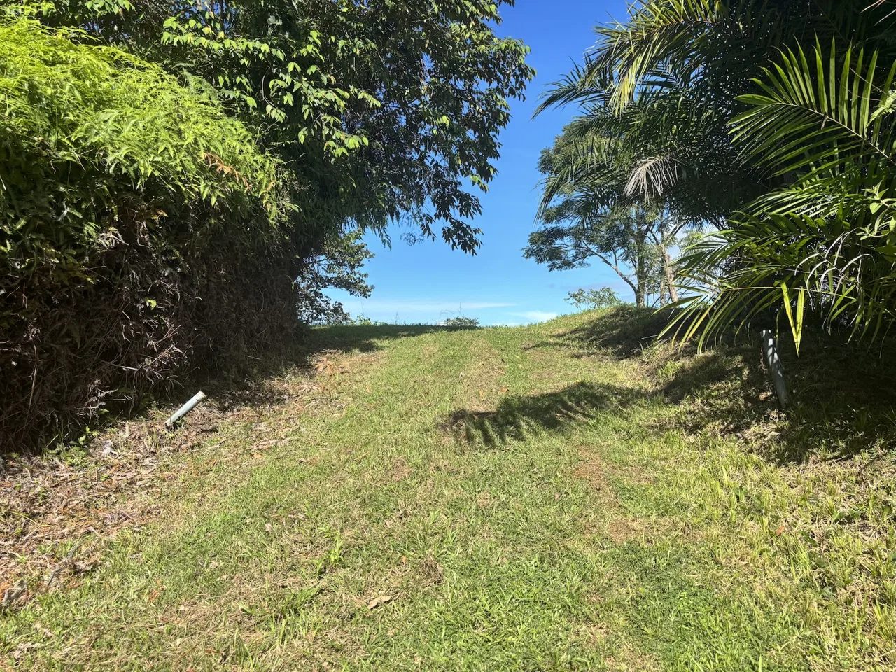 MOUNTAIN PROPERTY WITH OCEAN VIEWS AND SUNSET, IN OJOCHAL – 1.92 ACRES, photo 5