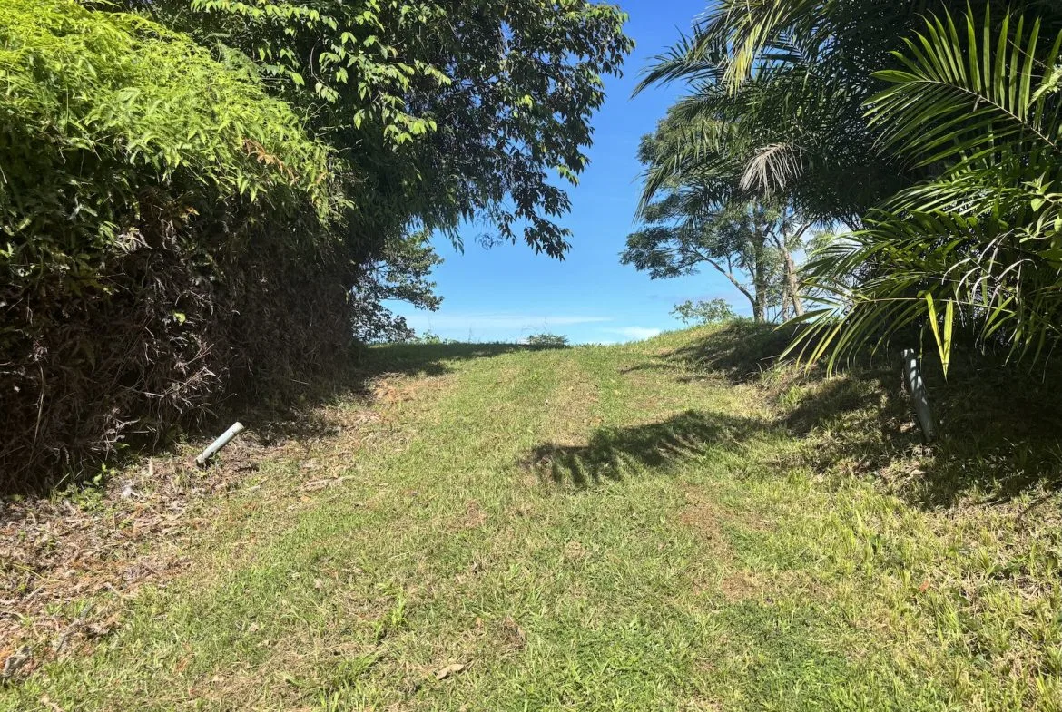 MOUNTAIN PROPERTY WITH OCEAN VIEWS AND SUNSET, IN OJOCHAL – 1.92 ACRES, photo 6