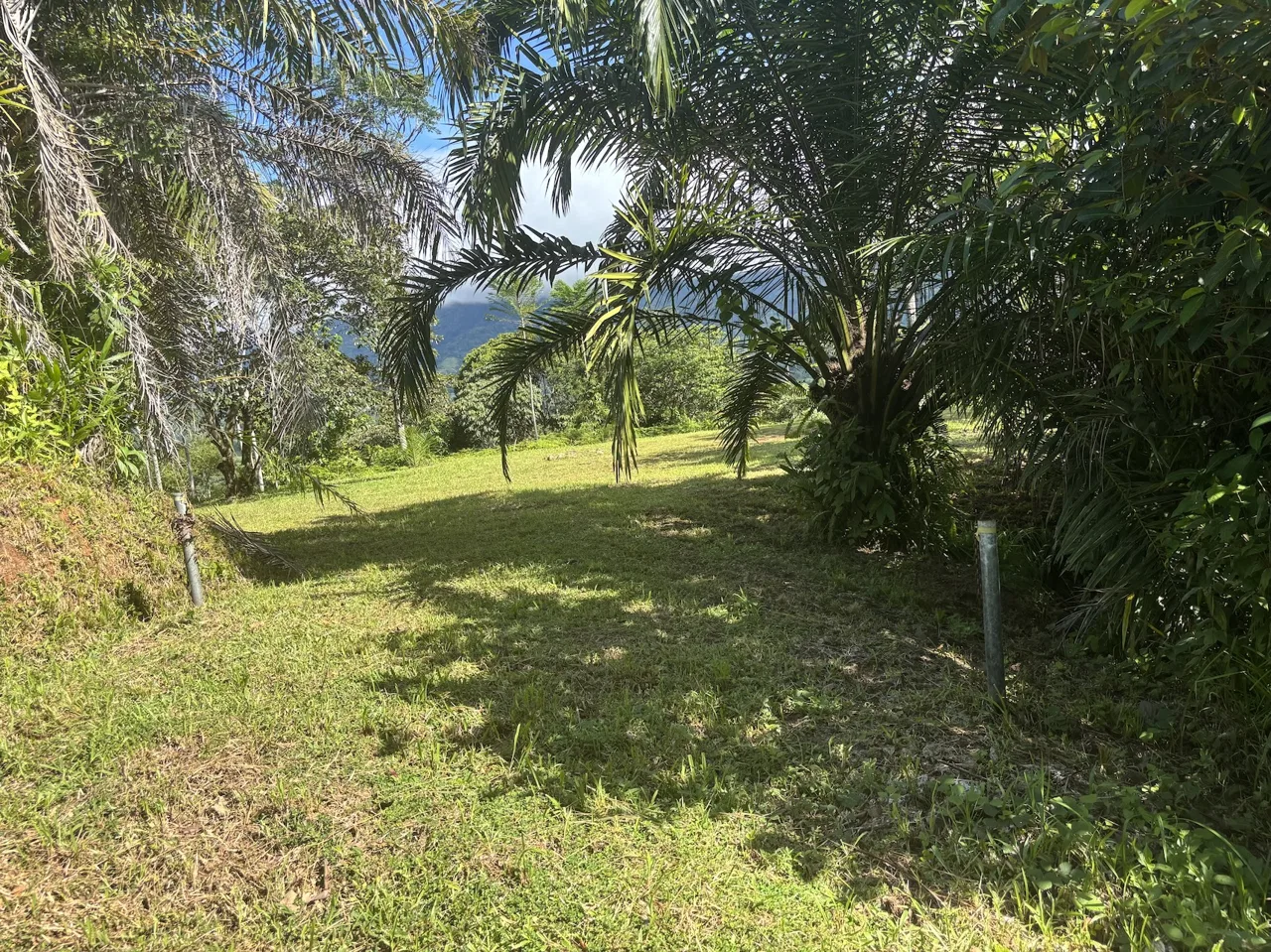 MOUNTAIN PROPERTY WITH OCEAN VIEWS AND SUNSET, IN OJOCHAL – 1.92 ACRES, photo 7