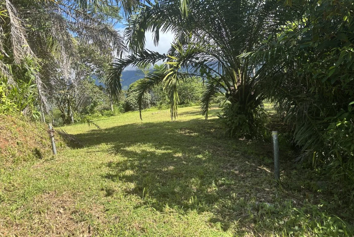 MOUNTAIN PROPERTY WITH OCEAN VIEWS AND SUNSET, IN OJOCHAL – 1.92 ACRES, photo 8