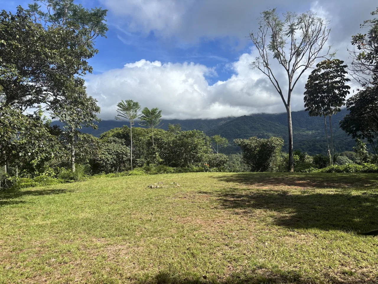 MOUNTAIN PROPERTY WITH OCEAN VIEWS AND SUNSET, IN OJOCHAL – 1.92 ACRES, photo 9