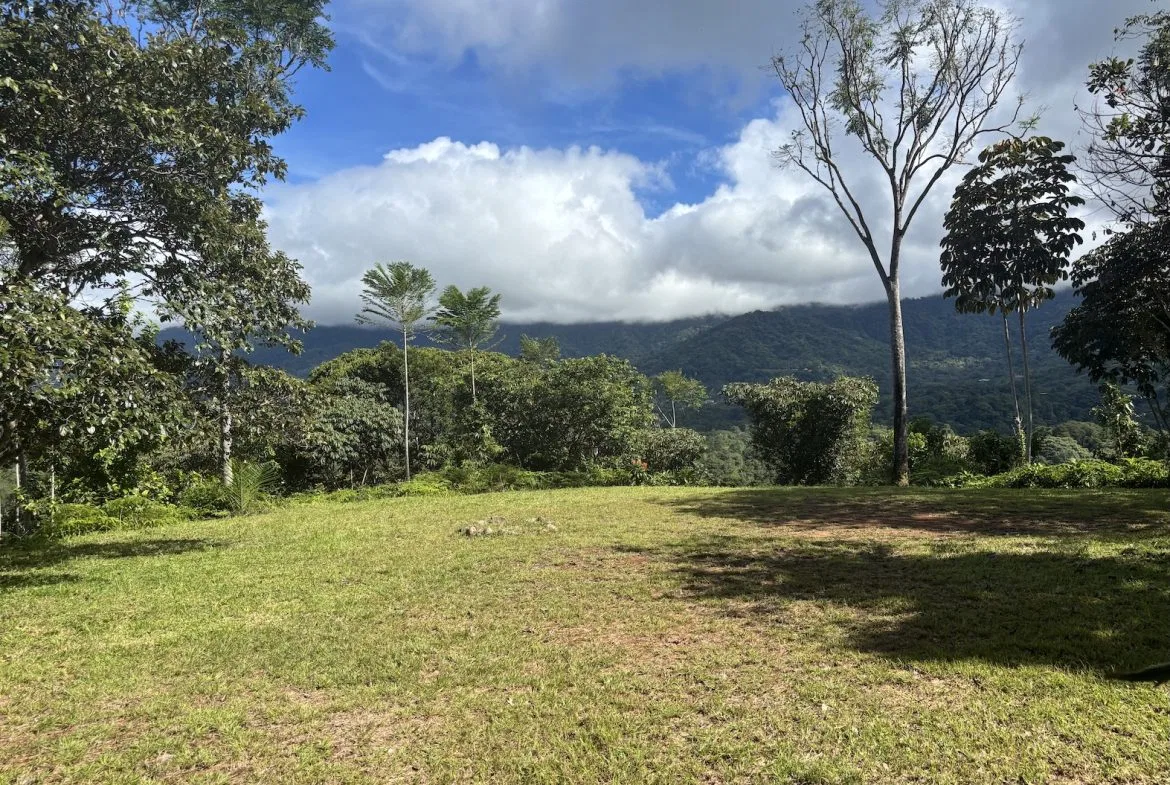 MOUNTAIN PROPERTY WITH OCEAN VIEWS AND SUNSET, IN OJOCHAL – 1.92 ACRES, photo 10