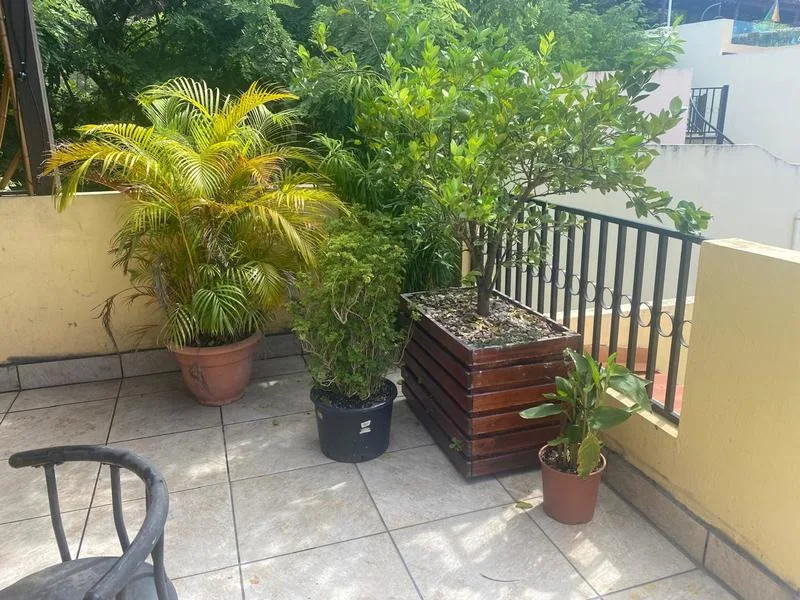 1 Bed Condo For Sale in Playas Del Coco, photo 6