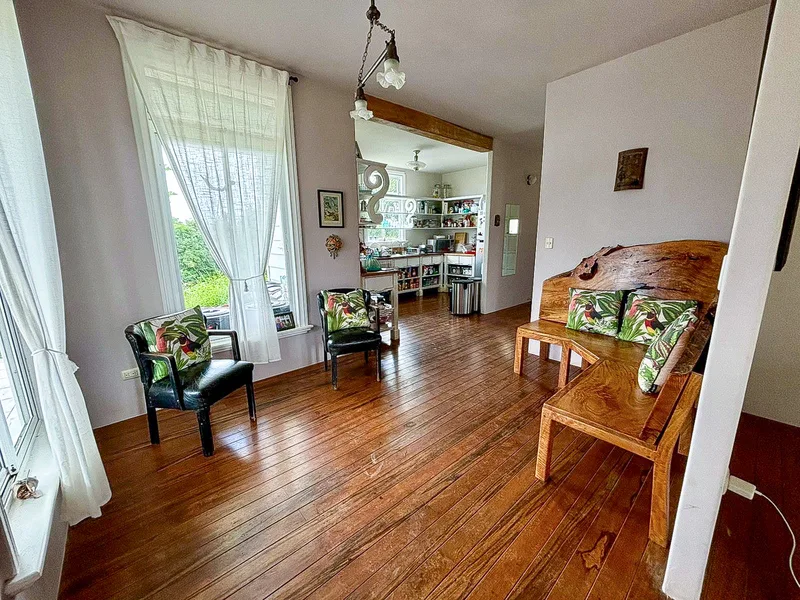 6 Bed Single Family Homes For Sale in Perez Zeledon, photo 12