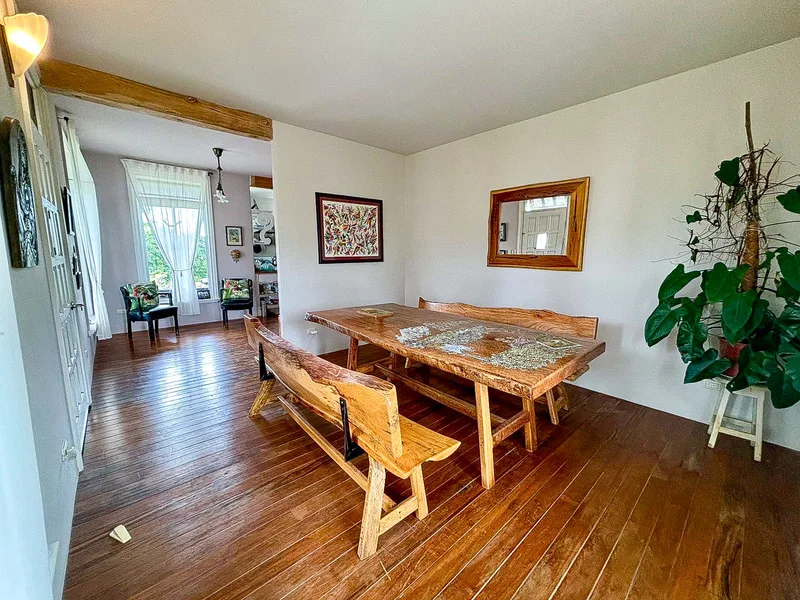6 Bed Single Family Homes For Sale in Perez Zeledon, photo 13