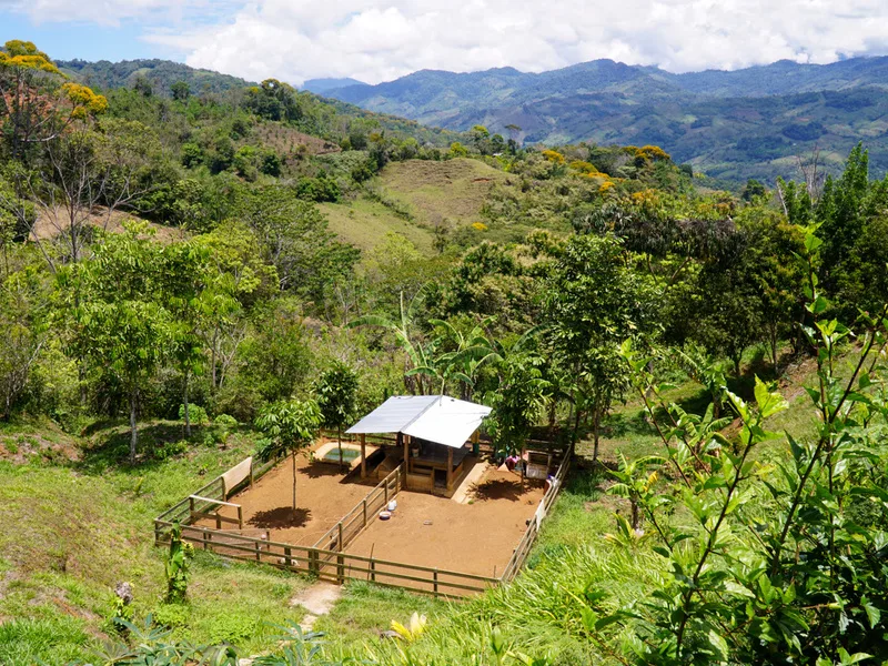 6 Bed Single Family Homes For Sale in Perez Zeledon, photo 10
