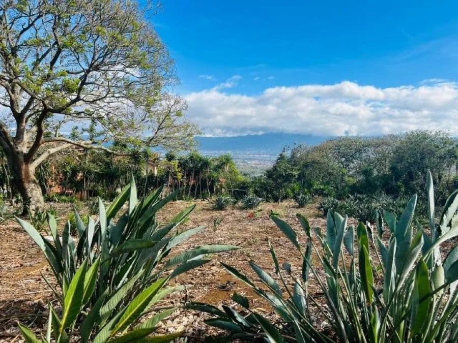 Venta de Lote en San Rafael, Heredia. RAH 24-1508 - Venta en San Rafael