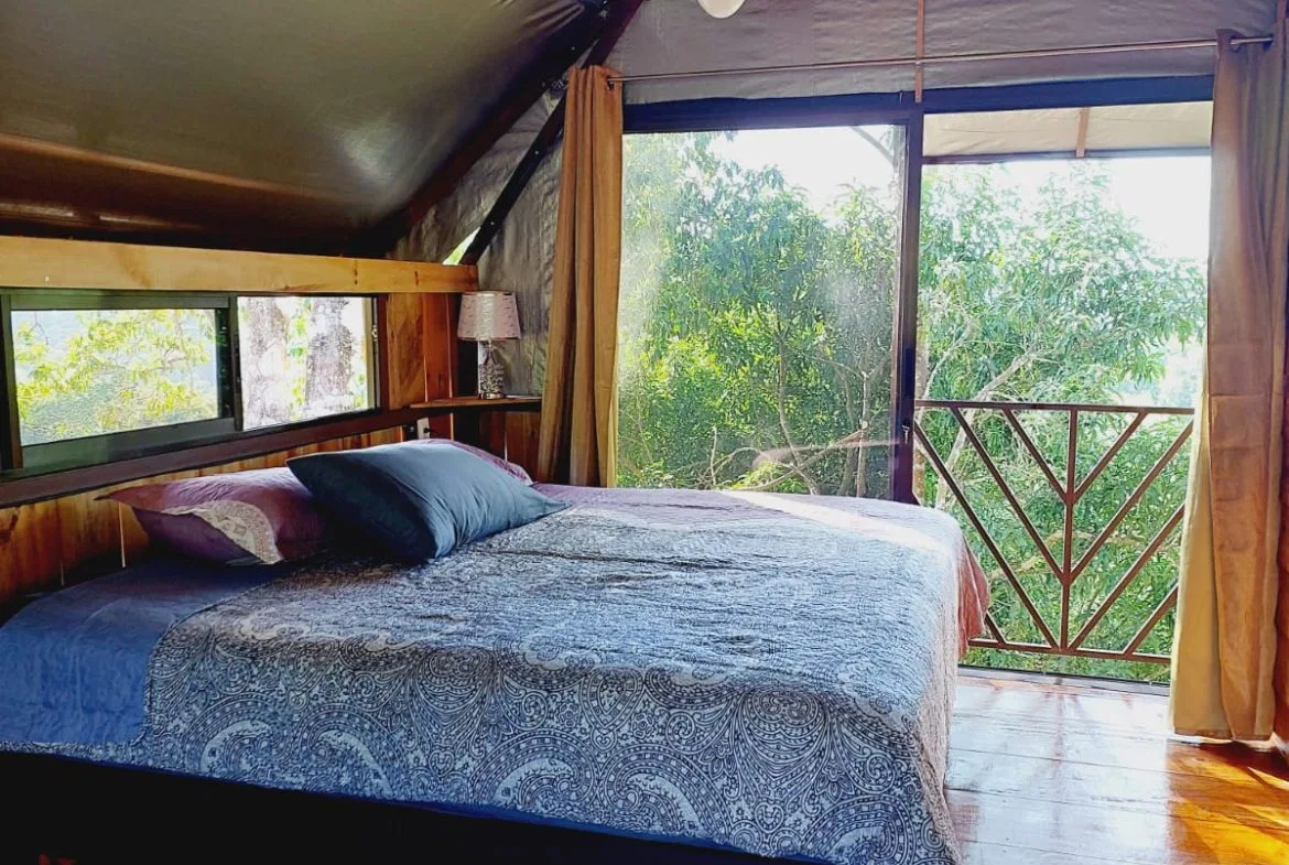 A SEAMLESS BLEND OF NATURE AND COMFORT WITH PAVED ACCESS – 17.1 ACRES, photo 17