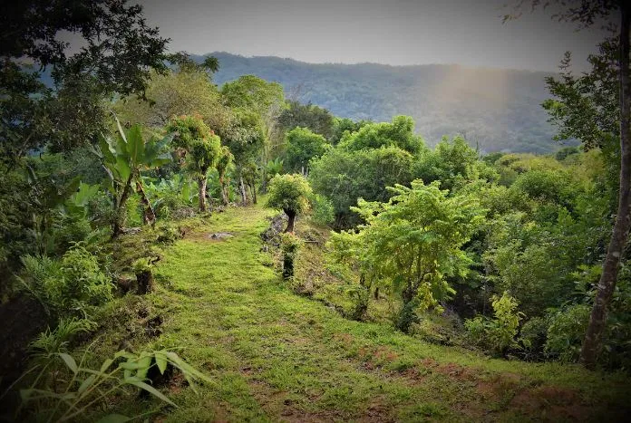 A SEAMLESS BLEND OF NATURE AND COMFORT WITH PAVED ACCESS – 17.1 ACRES, photo 5
