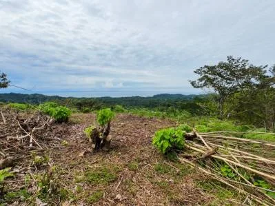 BUILDING PROPERTY WITH PARTIAL OCEAN VIEWS, IN OJOCHAL – 0.80 ACRES, photo 23