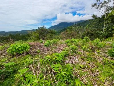 BUILDING PROPERTY WITH PARTIAL OCEAN VIEWS, IN OJOCHAL – 0.80 ACRES, photo 24