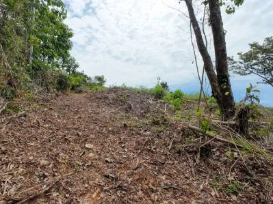 BUILDING PROPERTY WITH PARTIAL OCEAN VIEWS, IN OJOCHAL – 0.80 ACRES, photo 28