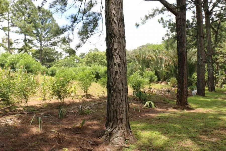 Venta de Lote en Escazú, San José. - Venta en Escazú