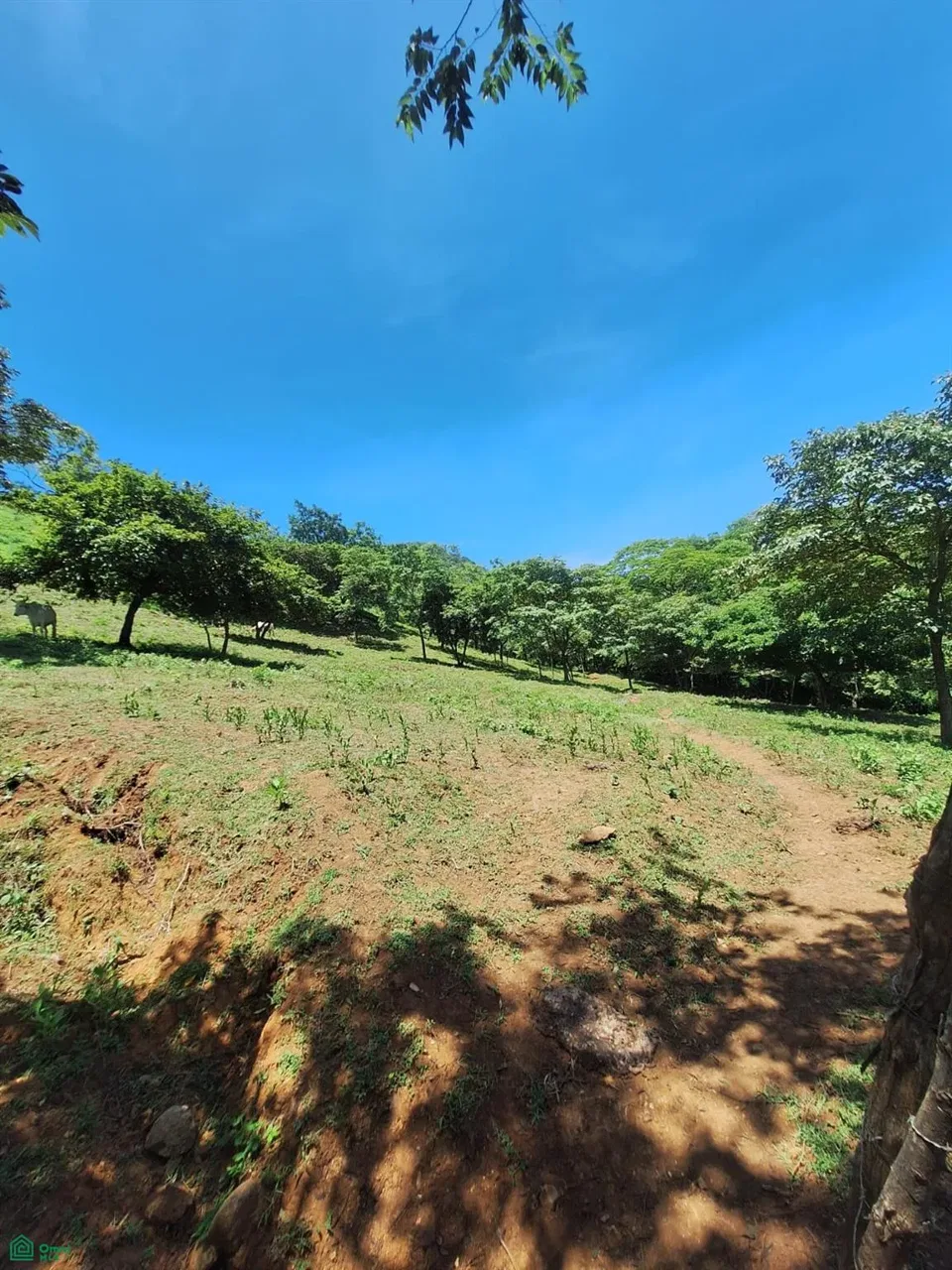 Playa Lagarto, Cuajiniquil, Santa Cruz, Guanacaste, La Cruz, Guanacaste 50306