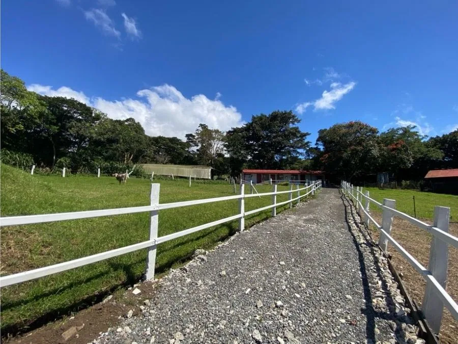 VENTA DE FINCA AGROINDUSTRIAL, HEREDIA, SAN RAFAEL, LOS ÁNGELES
