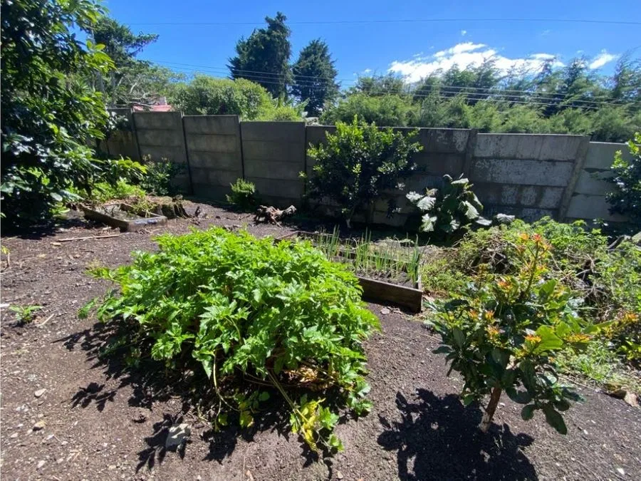 VENTA DE FINCA AGROINDUSTRIAL, HEREDIA, SAN RAFAEL, LOS ÁNGELES, photo 27