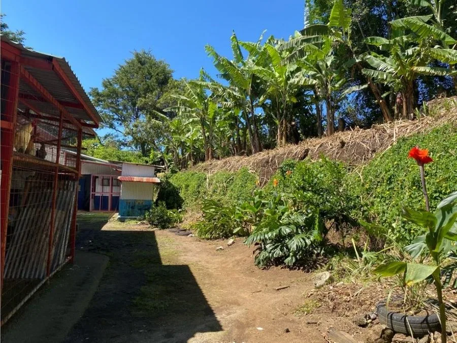 VENTA DE FINCA AGROINDUSTRIAL, HEREDIA, SAN RAFAEL, LOS ÁNGELES, photo 30
