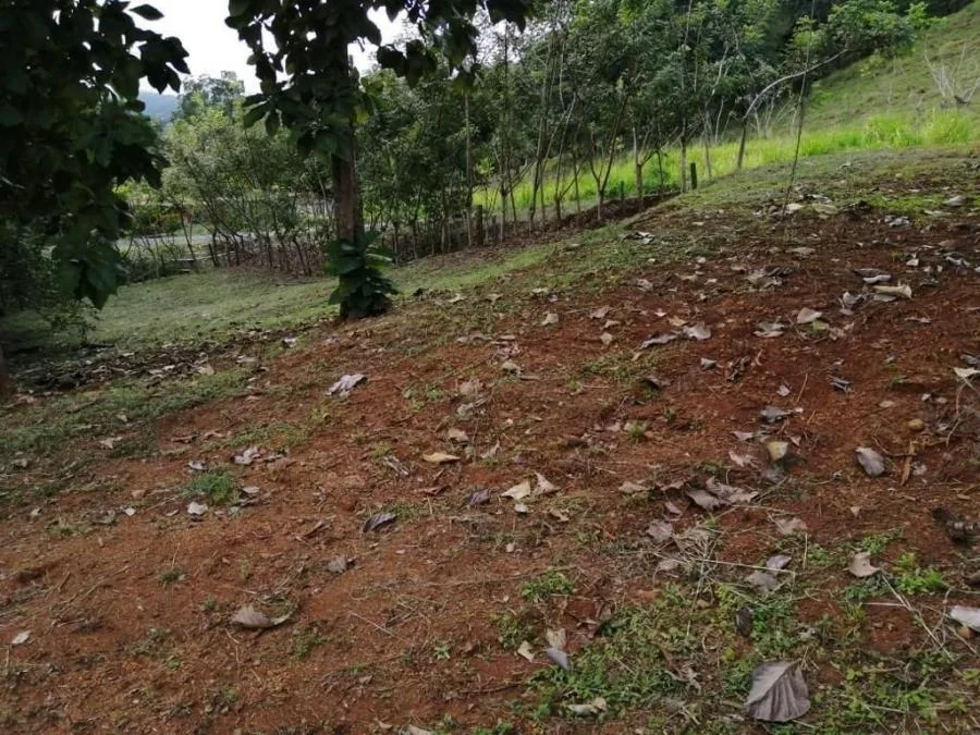 Venta de Propiedad para desarrollo comercial y habitacional en San Pedro Montes de Oca US$3,875,000  - Venta en Montes de Oca, photo 12