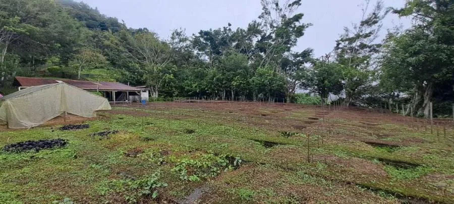 Venta de Propiedad para desarrollo comercial y habitacional en San Pedro Montes de Oca US$3,875,000  - Venta en Montes de Oca, photo 14