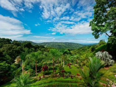CASA ORQUIDEA – CASA DE LUJO CON VISTAS AL OCÉANO EN UNA COMUNIDAD PRIVADA, photo 7