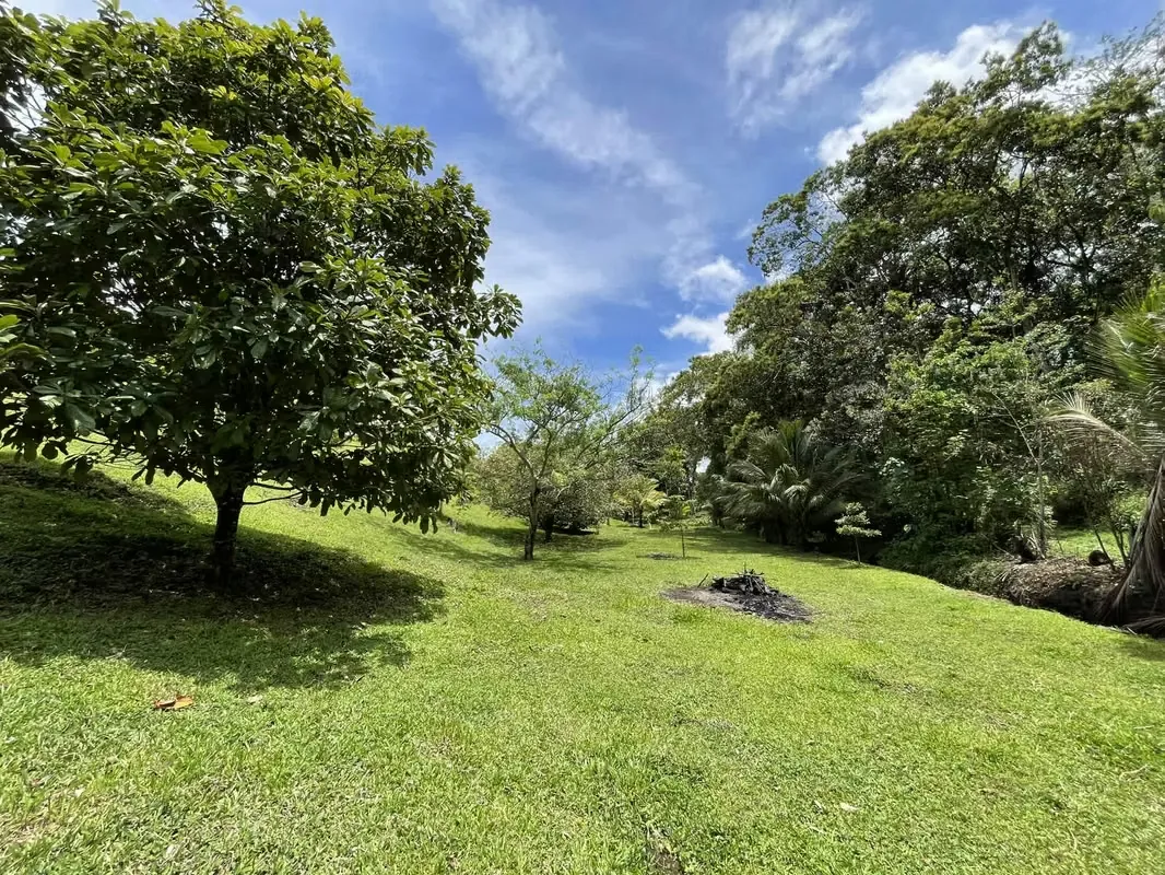 Land for sale in Nuevo Arenal with access to the Lake and Valcano view, photo 12