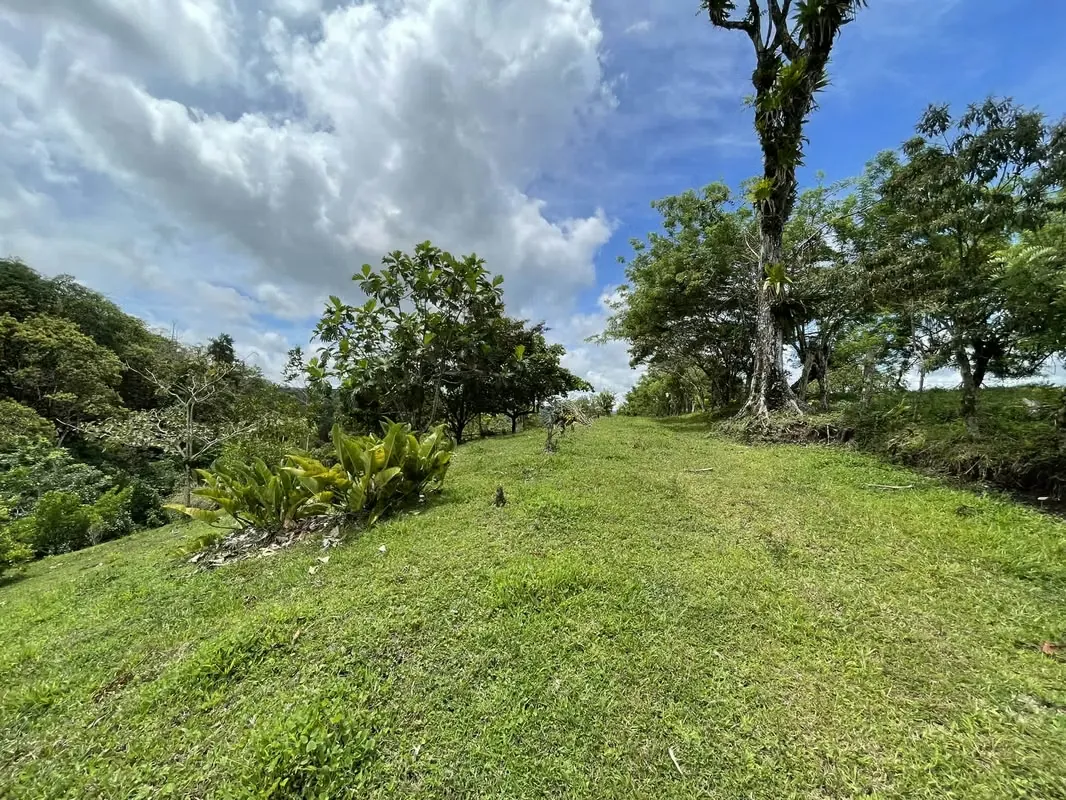 Land for sale in Nuevo Arenal with access to the Lake and Valcano view, photo 4