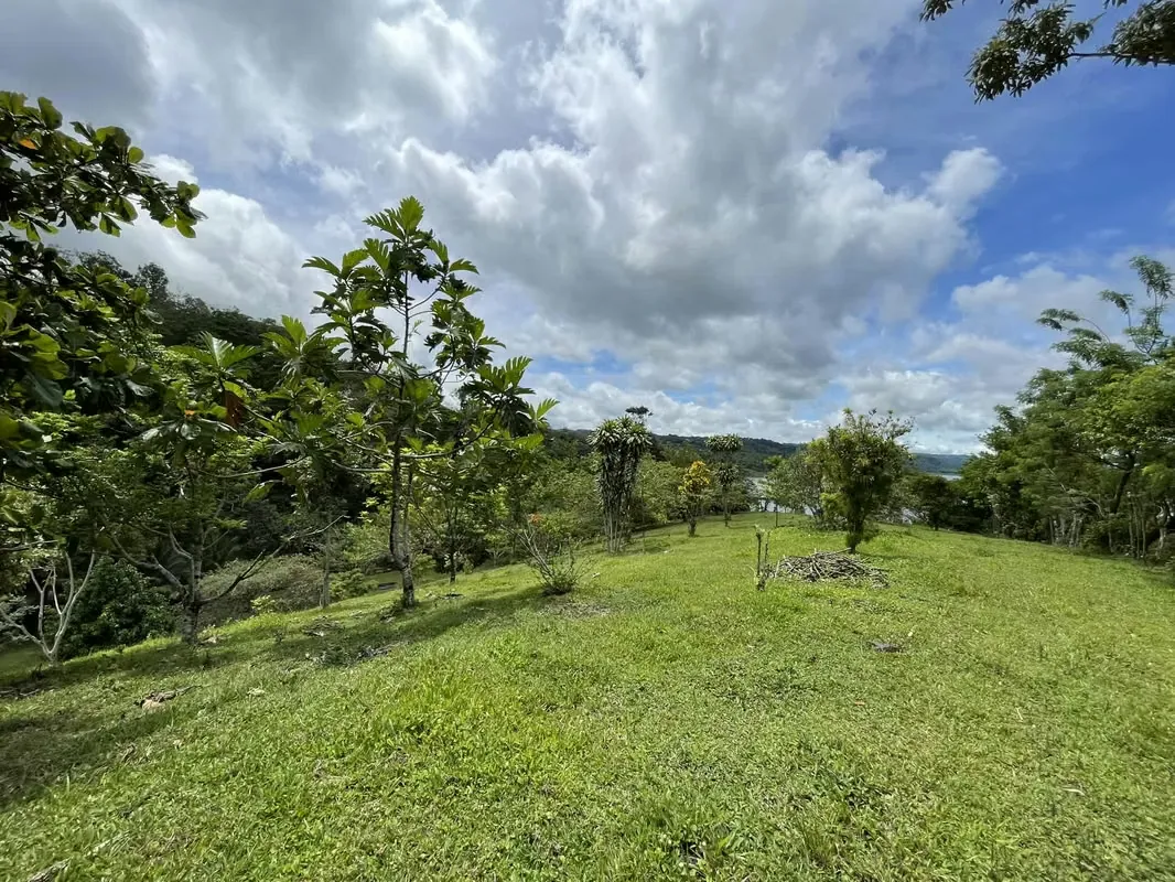 Land for sale in Nuevo Arenal with access to the Lake and Valcano view, photo 5