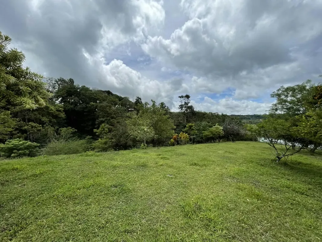Land for sale in Nuevo Arenal with access to the Lake and Valcano view, photo 6