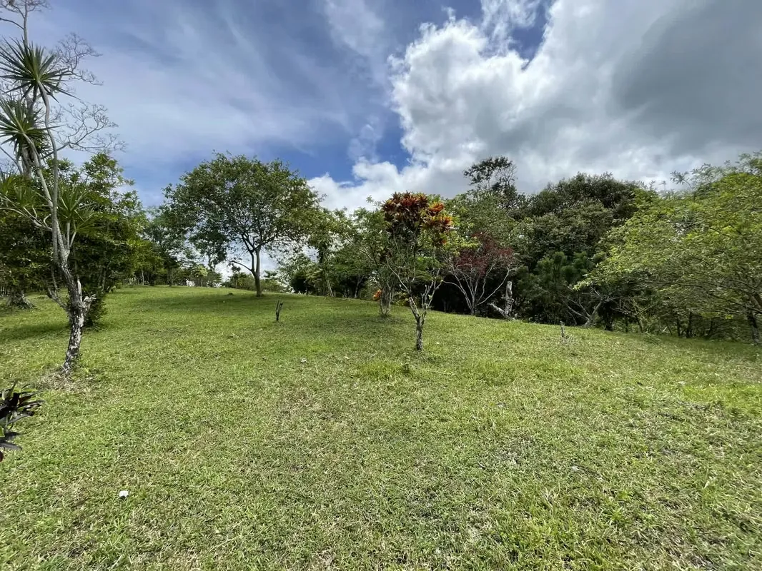 Land for sale in Nuevo Arenal with access to the Lake and Valcano view, photo 8