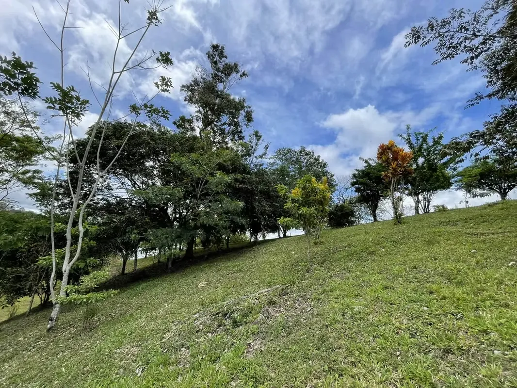Land for sale in Nuevo Arenal with access to the Lake and Valcano view, photo 10