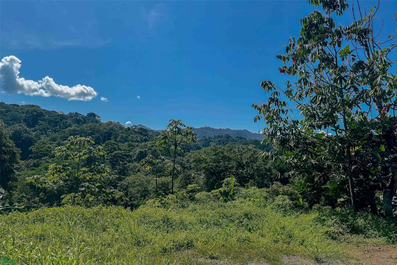 Mountain View Investment Land Naranjito Puntarenas
