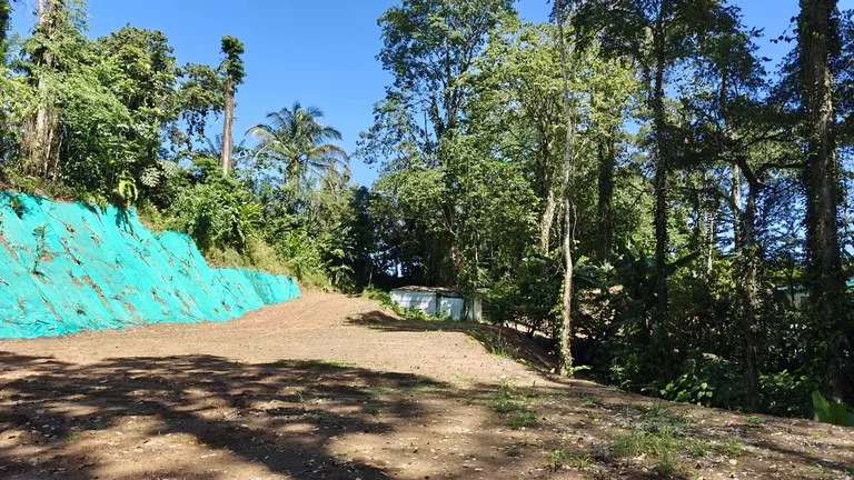 ID 1016: 6974m² Cahuita Titled Jungle Land Near the Beach, photo 3