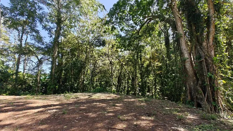 ID 1016: 6974m² Cahuita Titled Jungle Land Near the Beach, photo 4