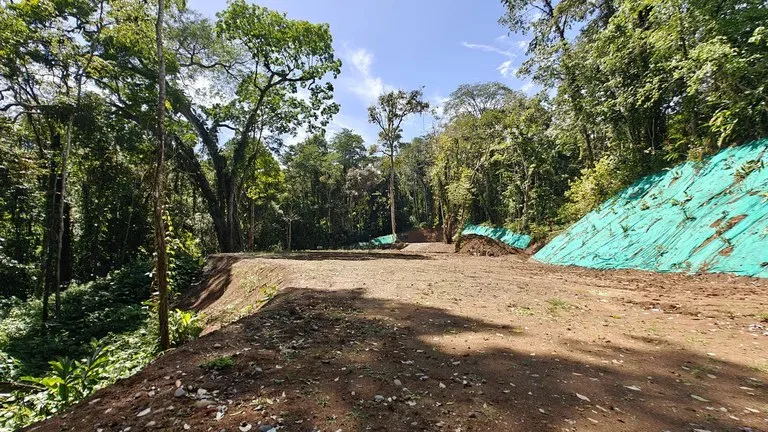 ID 1016: 6974m² Cahuita Titled Jungle Land Near the Beach, photo 5